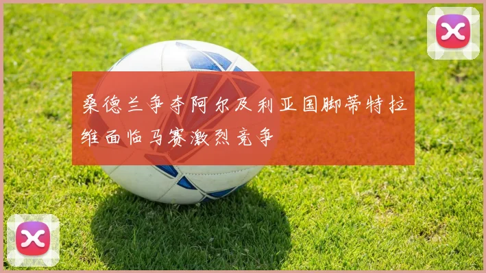 桑德兰争夺阿尔及利亚国脚蒂特拉维面临马赛激烈竞争